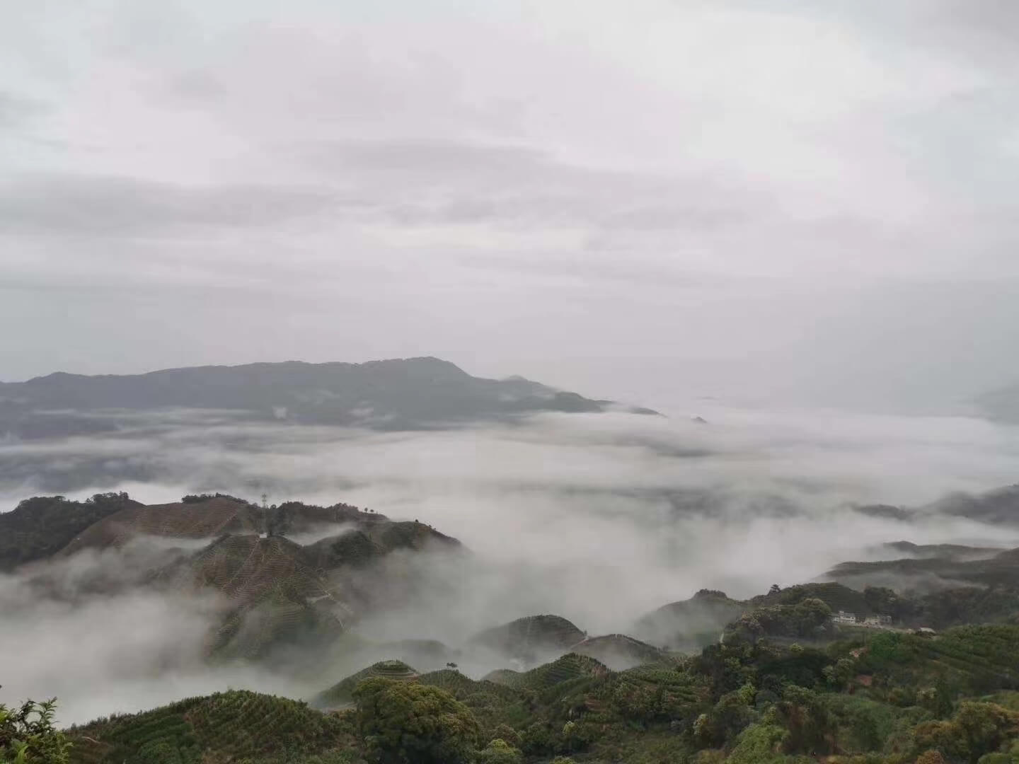 潮州凤凰山