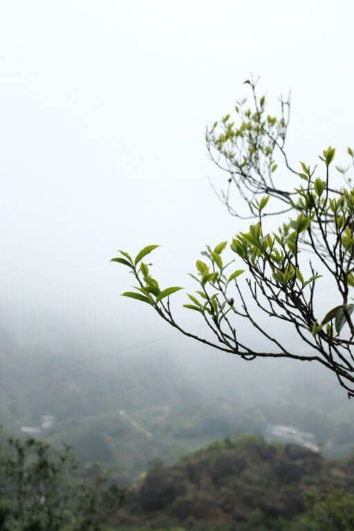 潮州 凤凰山