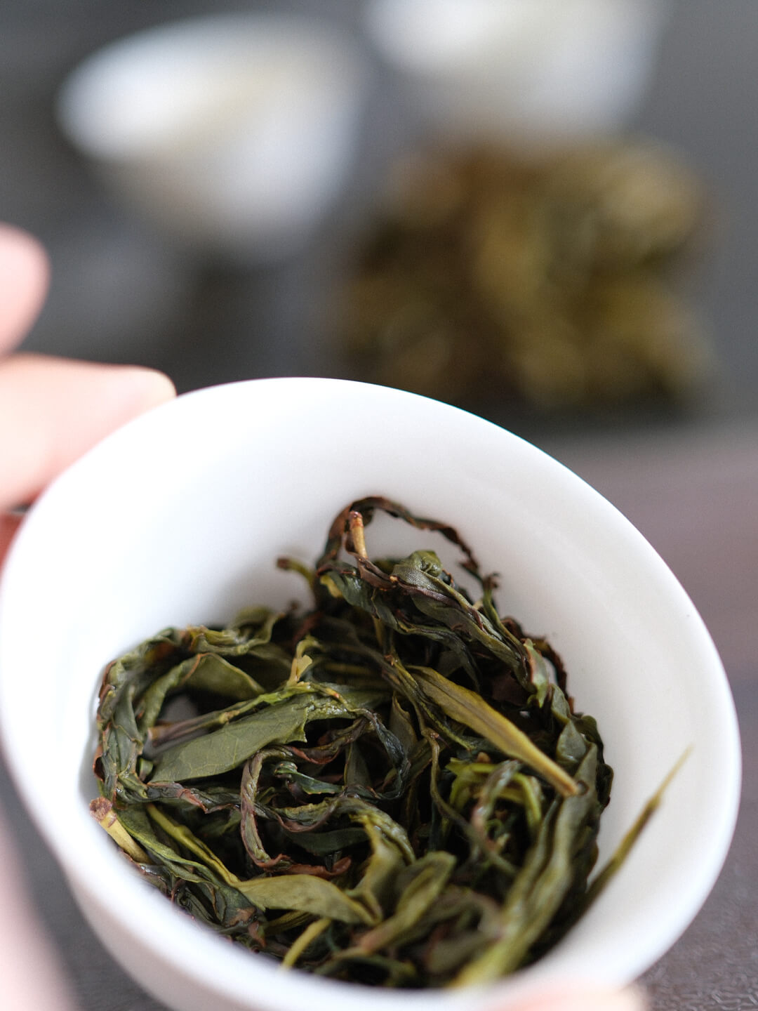 凤凰单丛 毛茶
